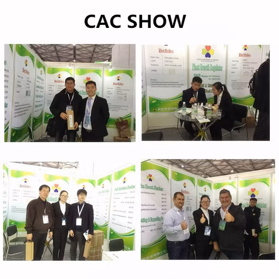 Cjx2-09 12/24V/36V/48/110V/220V DC Contator Tipo LC1-D Preço de fábrica